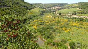 Le Mas de Lignières - centre naturiste - Cesseras dans l'Hérault - nature